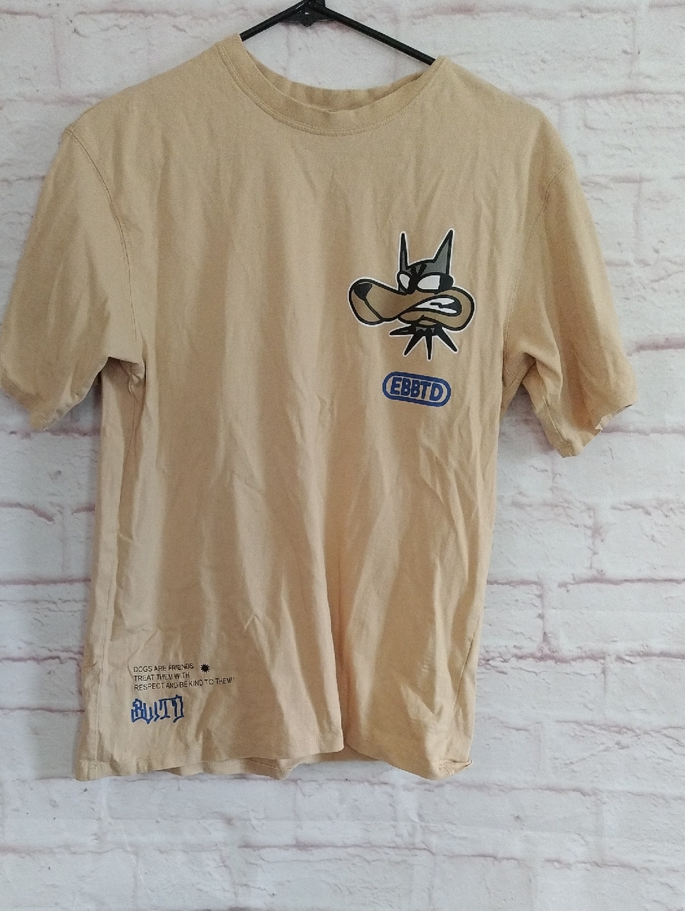 Zara Beige Crewneck T-Shirt